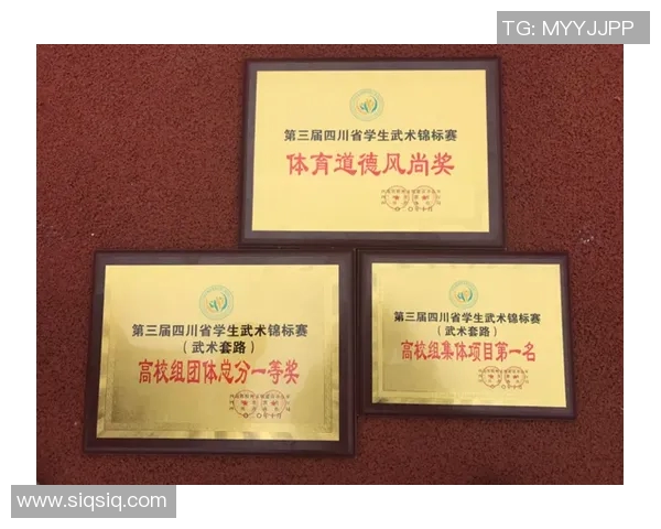 成都网球队在世界锦标赛中的意识表现分析与点评