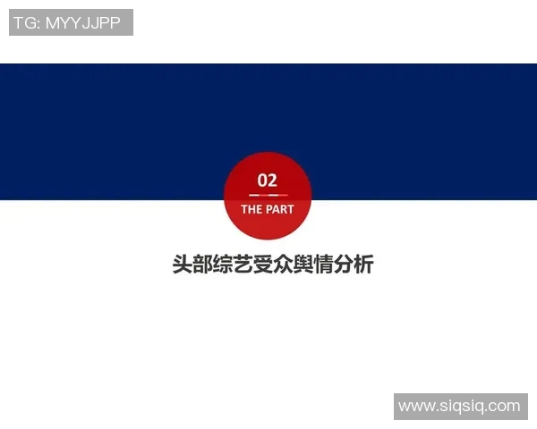 杭州街舞队技术表现全面解析与数据分析报告