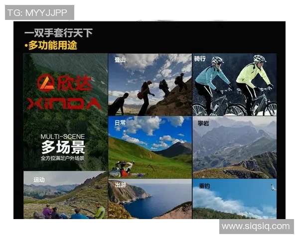 武汉攀岩队整体压制体系的战术解析与实战应用探讨 武汉攀岩队整体压制体系的战术解析与实战应用探讨