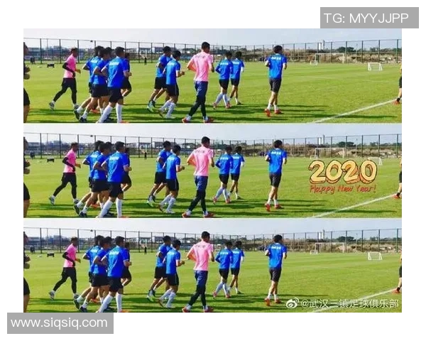 武汉羽毛球队在钻石联赛中的蜕变与发展探索之路