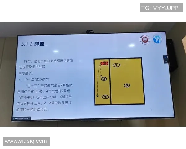 深圳排球队反击战术解析与实战应用探讨