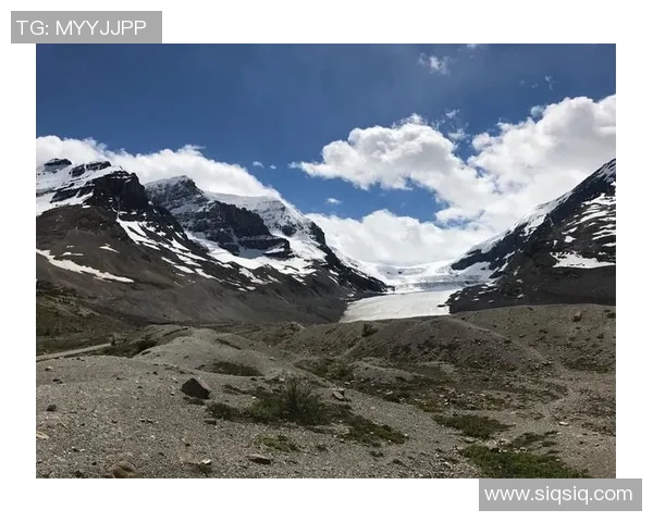 加拿大与古巴的精彩对决谁能在这场较量中脱颖而出 加拿大与古巴的精彩对决谁能在这场较量中脱颖而出