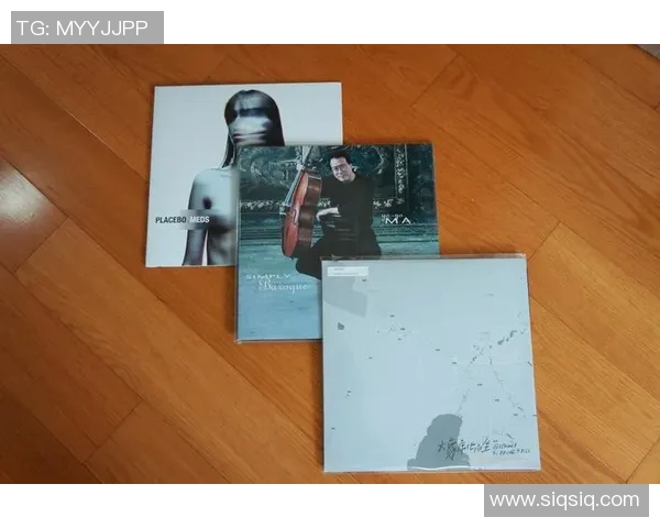 王岚的音乐旅程与人生哲学探讨:从歌声中寻找内心的宁静与力量 王岚的音乐旅程与人生哲学探讨:从歌声中寻找内心的宁静与力量