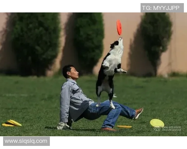 重庆飞盘队在极限运动世界杯中的意识表现分析与启示